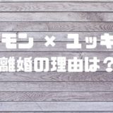 フジモンとユッキーナ離婚理由